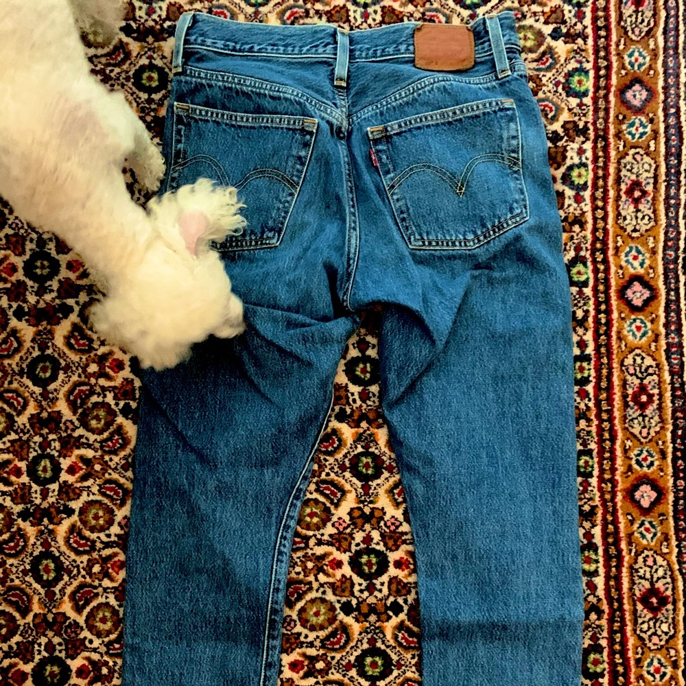 Levi’s wedgie GUC